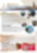 MESONGNewsletter_DEC2020_v4_P1.png